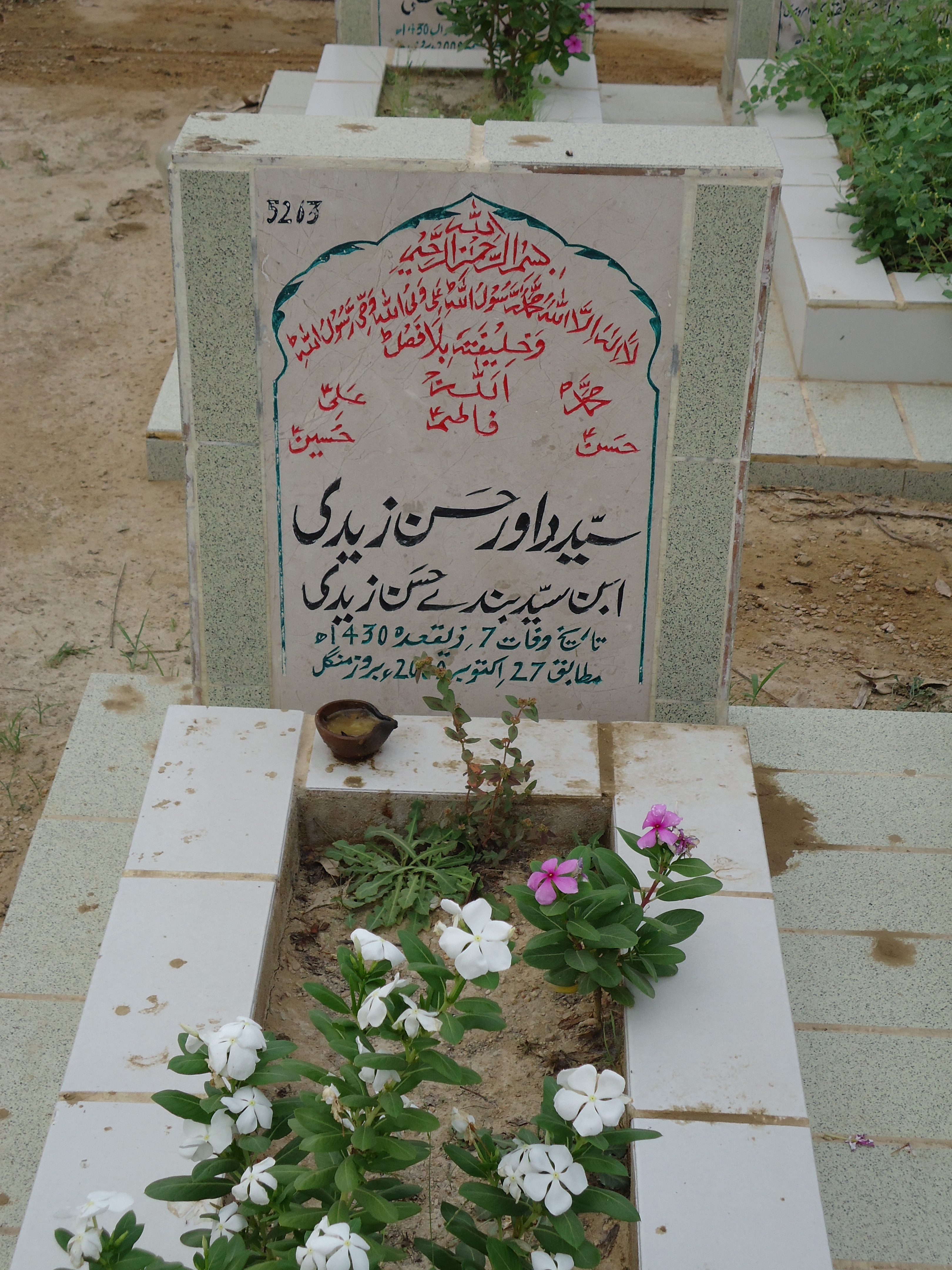 5263 – Syed Dawar Hasan Zaidi
